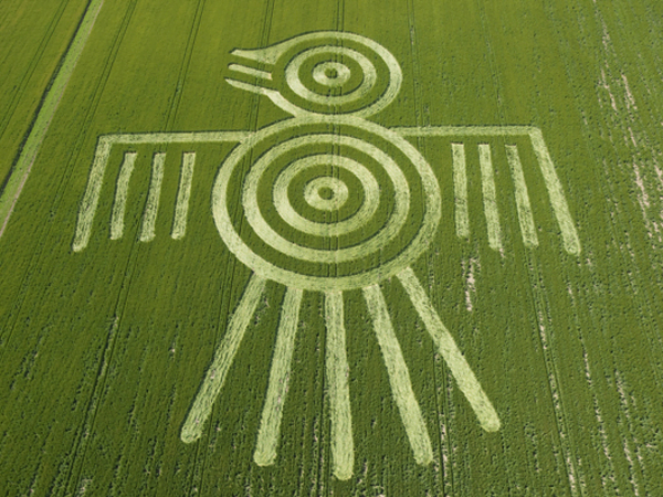 Enigmatic Crop Circles: Unraveling Nature's Mysterious Artistry Artistic Crop Circle