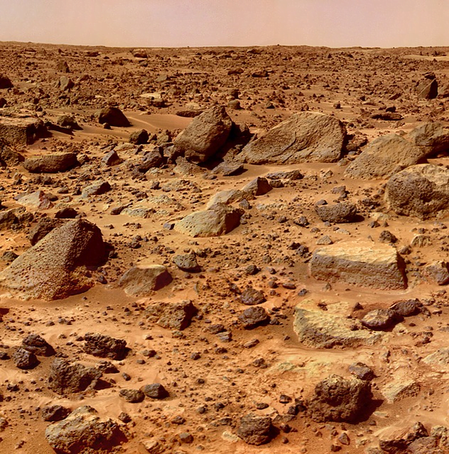 impressions of life on mars