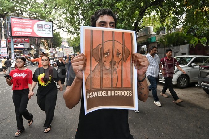 Our Street, Their Home: Why Coexistence is Possible (and Preferable) to Bans